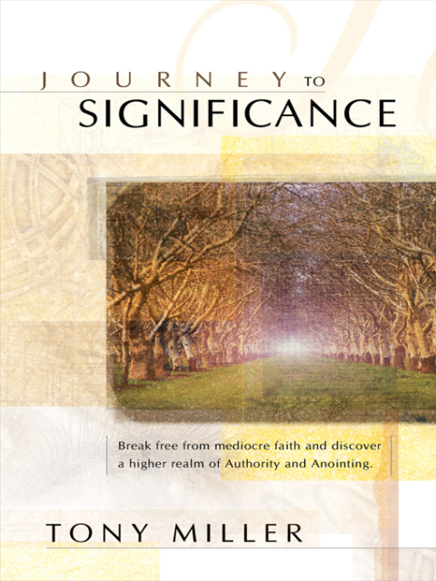 Cover image for book Journey To Significance