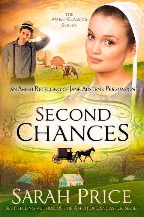 Cover image for book Second Chances