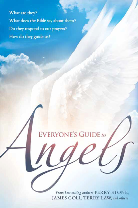 Cover image for book Everyone's Guide to Angels