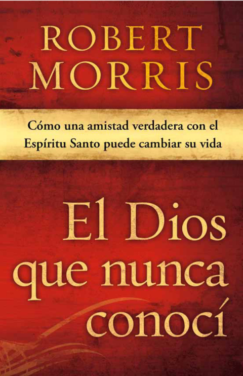 Cover image for book El Dios que nunca conocí