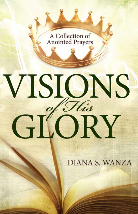 Cover image for book Visions of His Glory