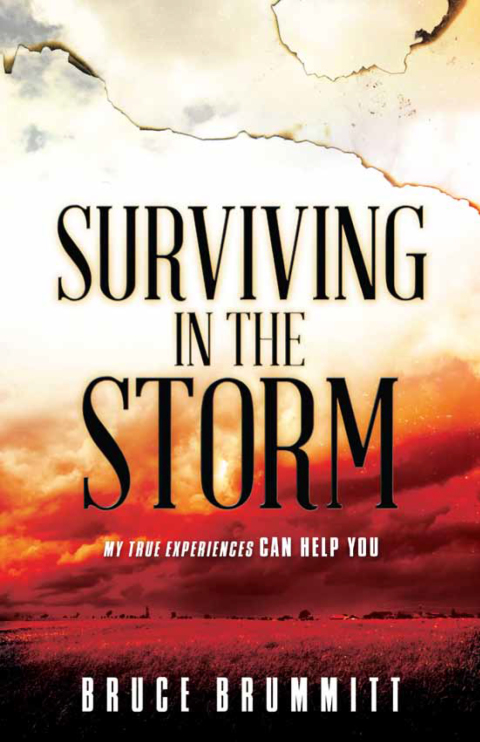 Cover image for book Surviving in the Storm