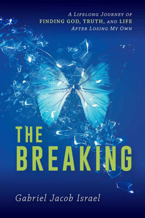 Cover image for book The Breaking