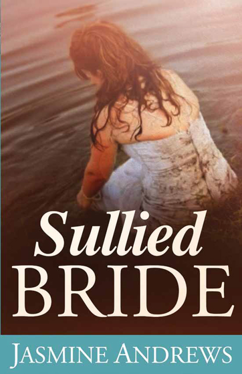 Cover image for book Sullied Bride