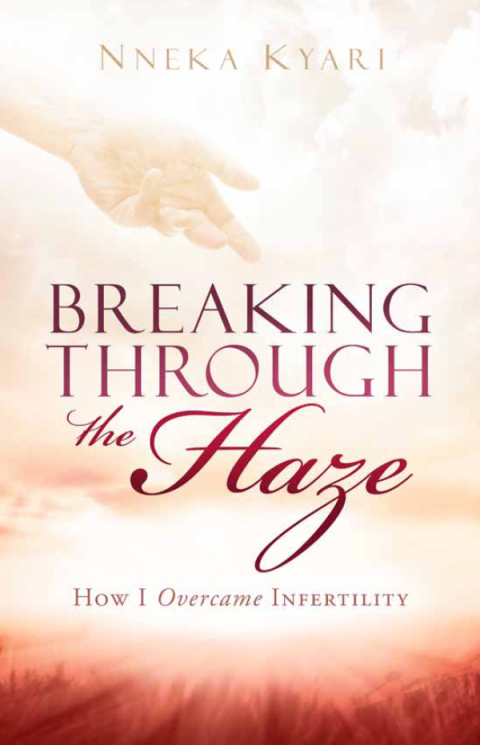 Cover image for book Breaking Through the Haze