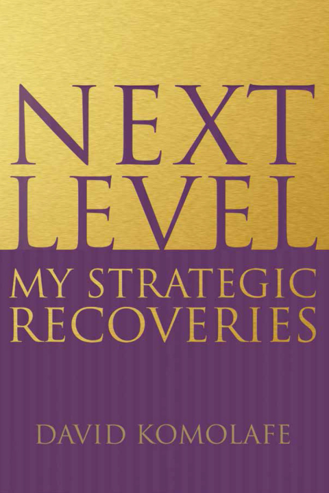 Cover image for book Next Level