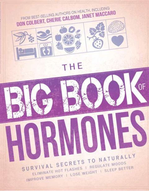 Cover image for book The Big Book of Hormones