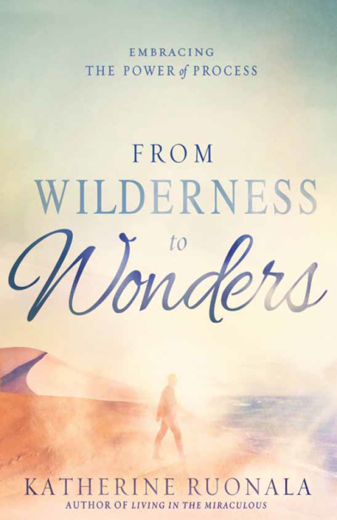 Cover image for book From Wilderness to Wonders