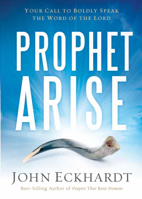 Cover image for book Prophet, Arise