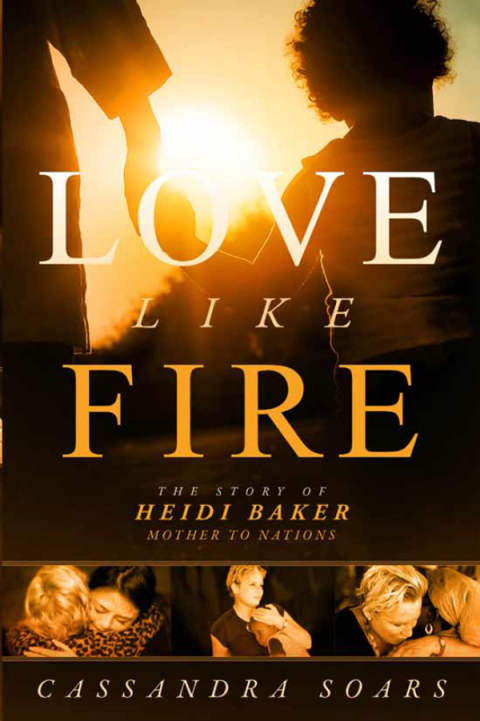 Cover image for book Love Like Fire