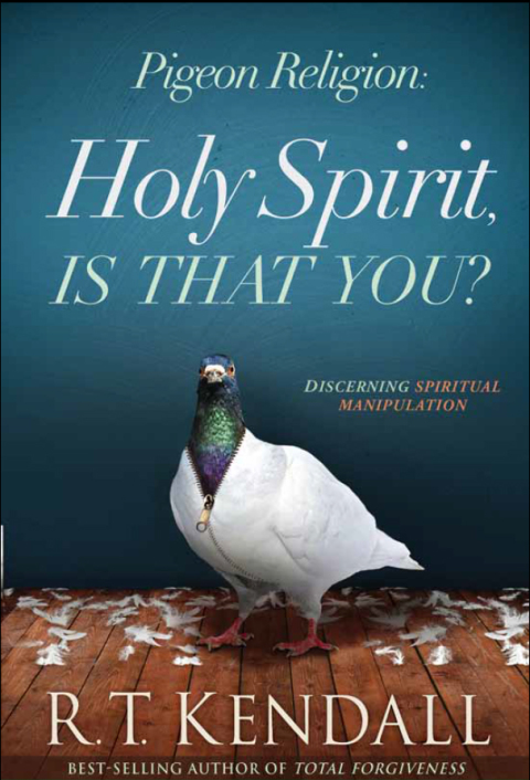 Cover image for book Pigeon Religion: Holy Spirit, Is That You?