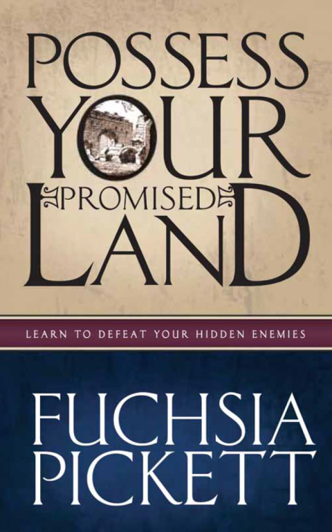 Cover image for book Possessing Your Promised Land