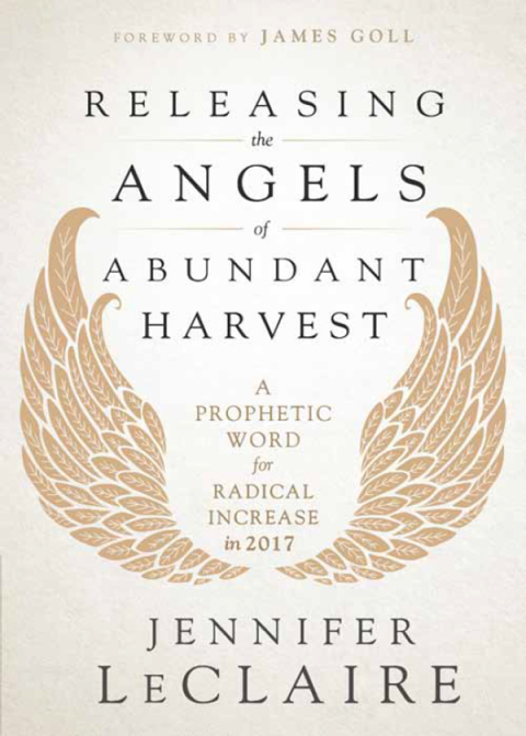 Cover image for book Releasing the Angels of Abundant Harvest