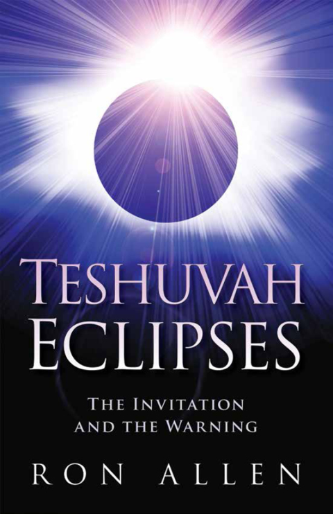Cover image for book Teshuvah Eclipses