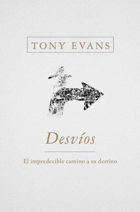 Cover image for book Desvíos/Detours