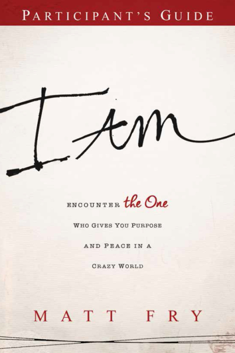 Cover image for book I AM Participant's Guide