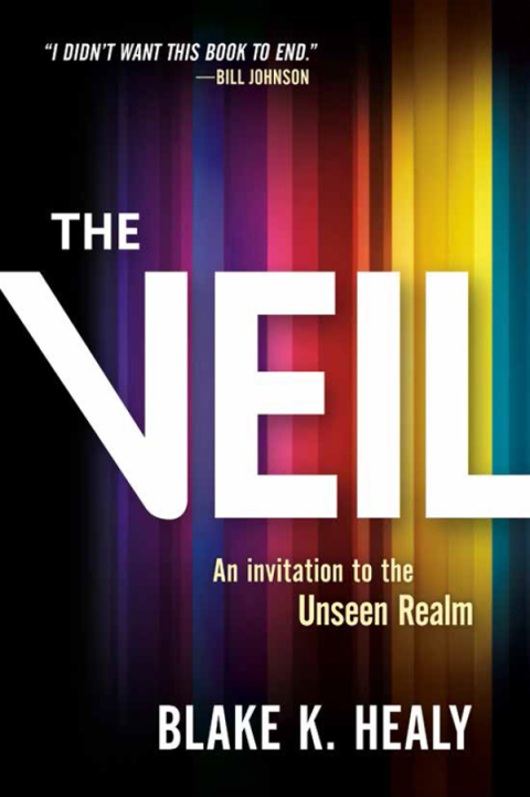Cover image for book The Veil