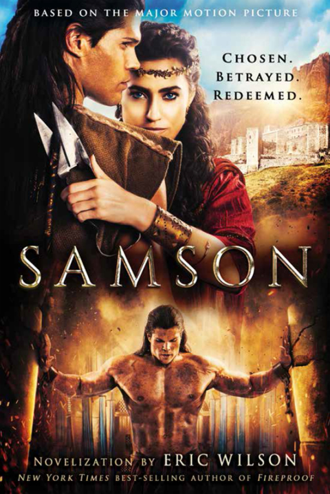 Cover image for book Samson