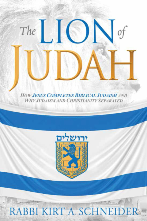 Cover image for book The Lion of Judah