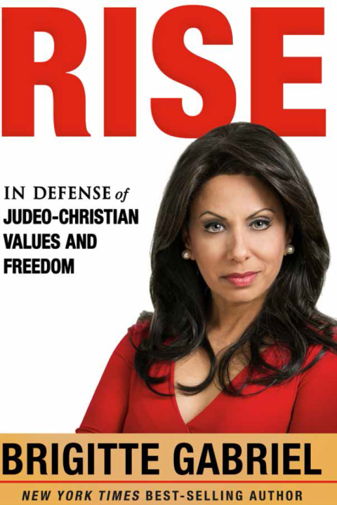 Cover image for book Rise