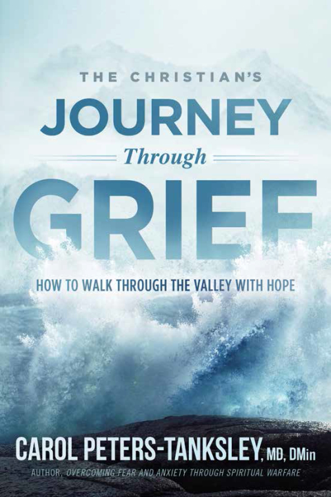 Cover image for book The Christian's Journey Through Grief