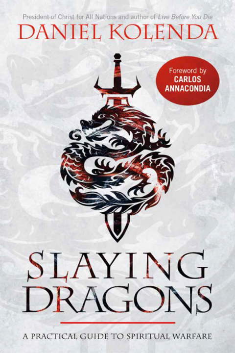 Cover image for book Slaying Dragons