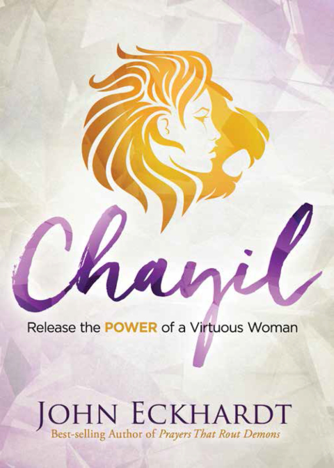 Cover image for book Chayil
