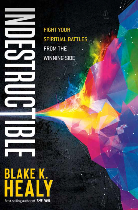 Cover image for book Indestructible