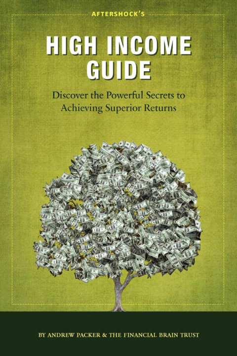 Cover image for book Aftershock's High Income Guide