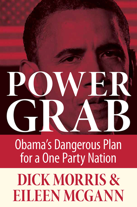 Cover image for book Power Grab