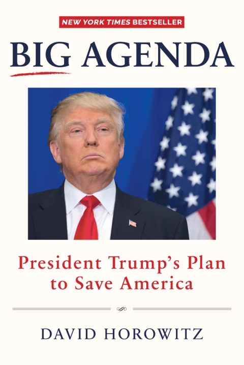 Cover image for book Big Agenda