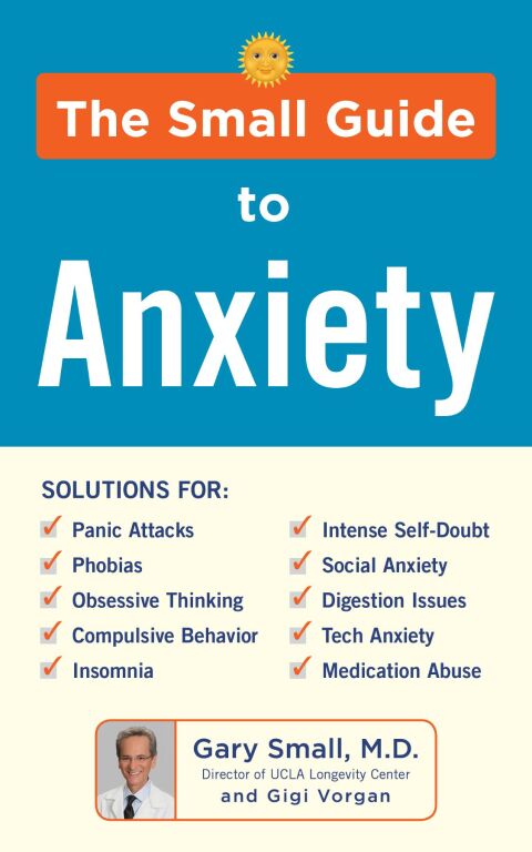 Cover image for book The Small Guide to Anxiety
