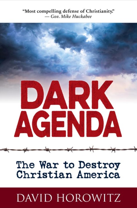 Cover image for book Dark Agenda
