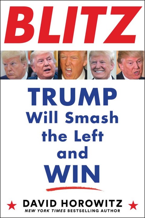 Cover image for book Blitz