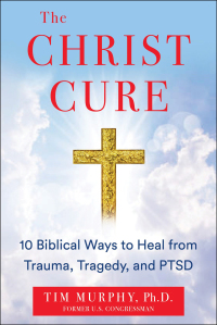 Cover image: The Christ Cure 9781630062392