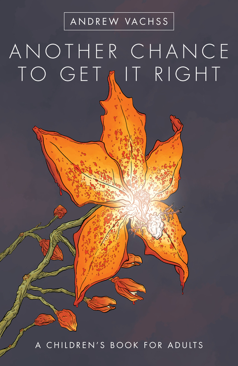 Cover image for book Another Chance to Get It Right (2016 Edition)