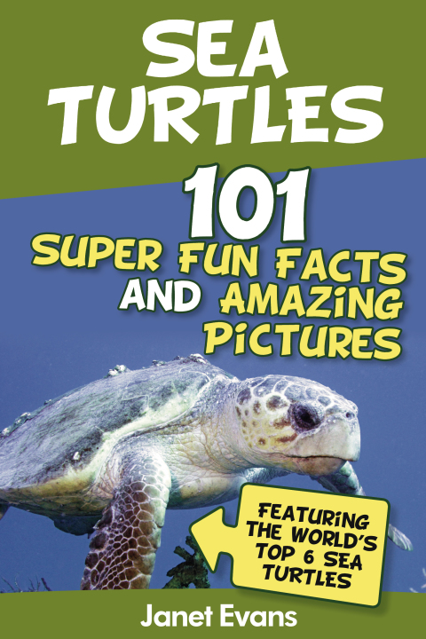 Cover image for book Sea Turtles : 101 Super Fun Facts And Amazing Pictures (Featuring The World's Top 6 Sea Turtles)