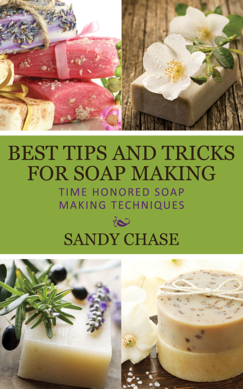 Cover image for book Best Tips And Tricks For Soap Making