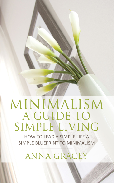 Cover image for book Minimalism: A Guide to Simple Living