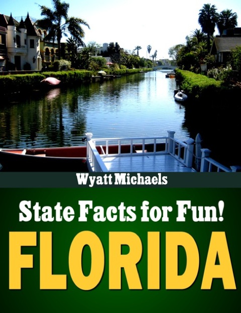 Cover image for book State Facts for Fun! Florida