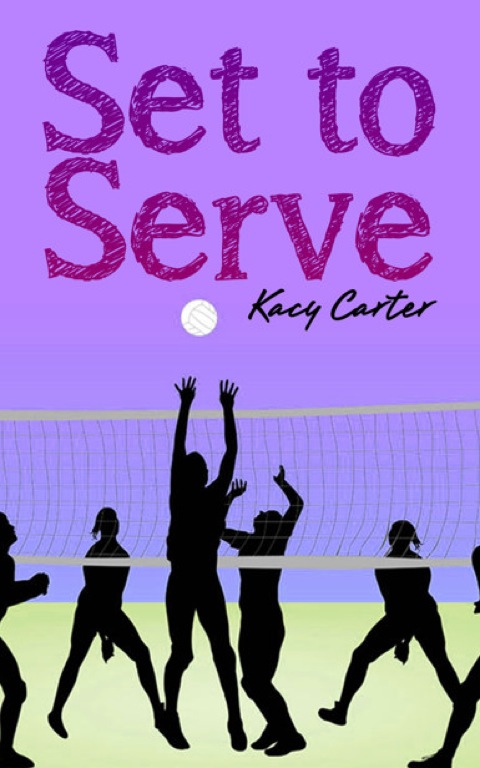 Cover image for book Set to Serve