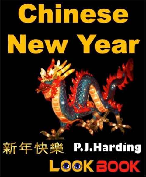Cover image for book Chinese New year