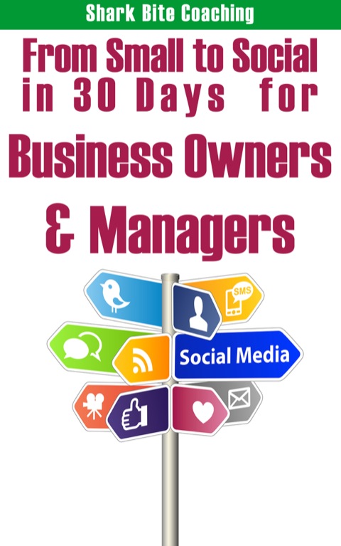 Cover image for book From Small to Social in 30 Days for Business Owners & Managers