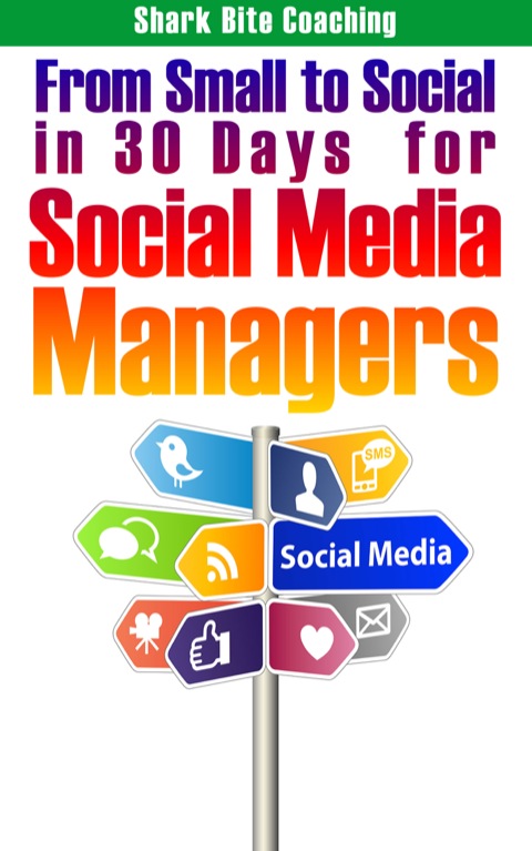 Cover image for book From Small to Social in 30 Days for Social Media Managers