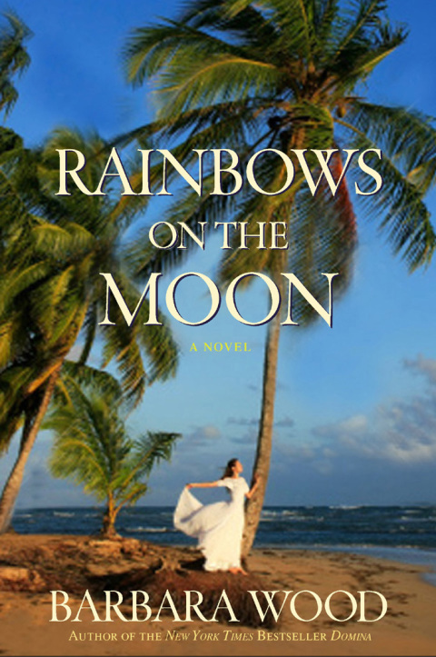 Cover image for book Rainbows on the Moon