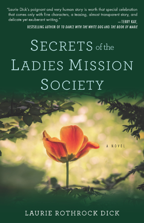 Cover image for book Secrets of the Ladies Mission Society