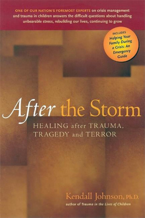 Cover image for book After the Storm