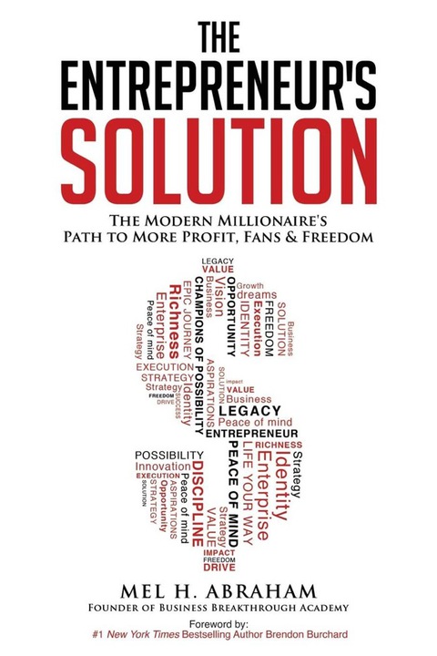 Cover image for book The Entrepreneur's Solution