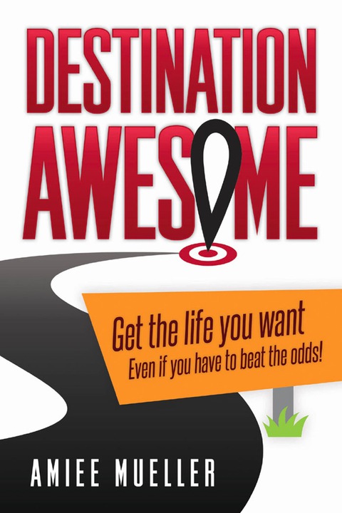 Cover image for book Destination Awesome