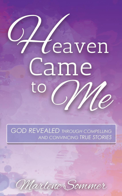 Cover image for book Heaven Came to Me